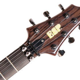 ESP FOREST-GT | フォトスタジオアローズ｜宝塚市・写真スタジオ